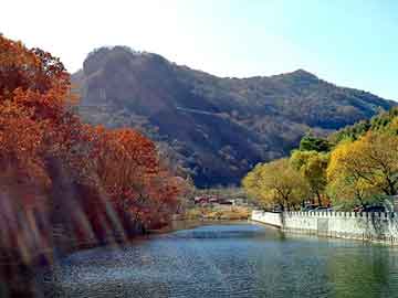 枣庄莲花山生态园最新消息(枣庄莲花山生态园资讯速递)