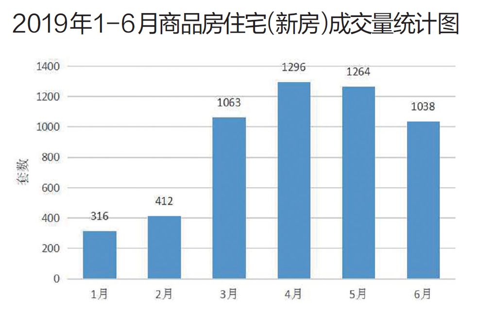 2024年12月28日 第43页