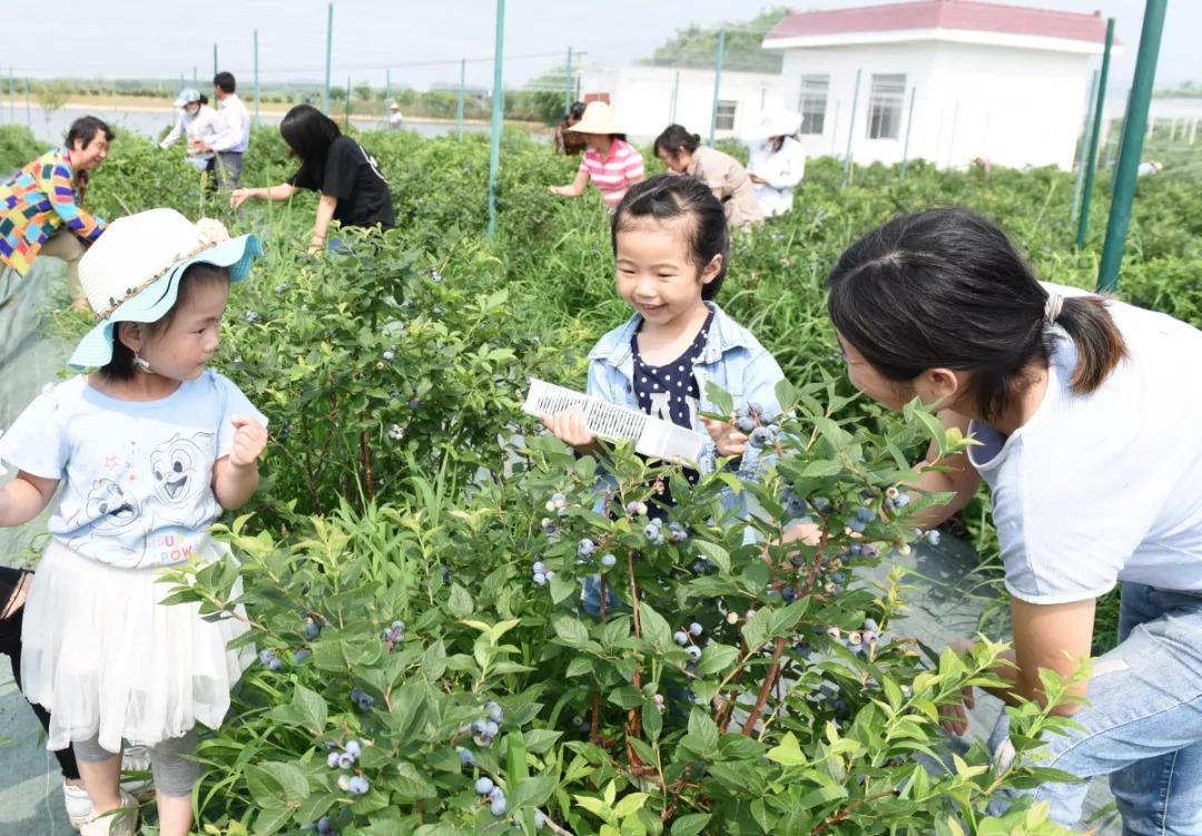 滁州姑塘新村房价速览