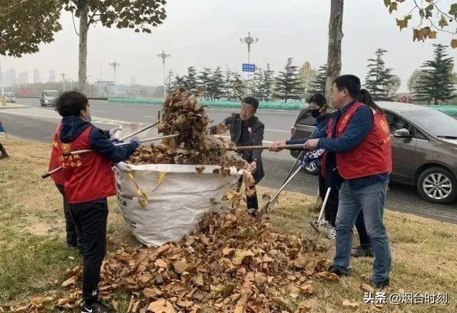 山东龙口台风应对进展喜报连连