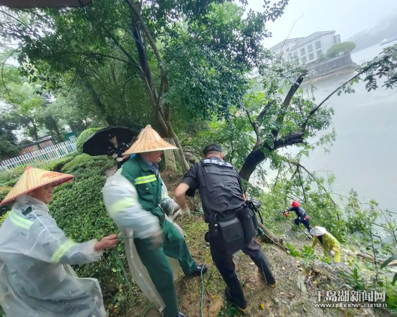 杭州防汛一线，守护家园美好，最新进展喜讯连连