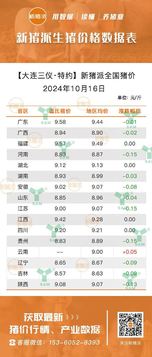 今日猪仔最新行情