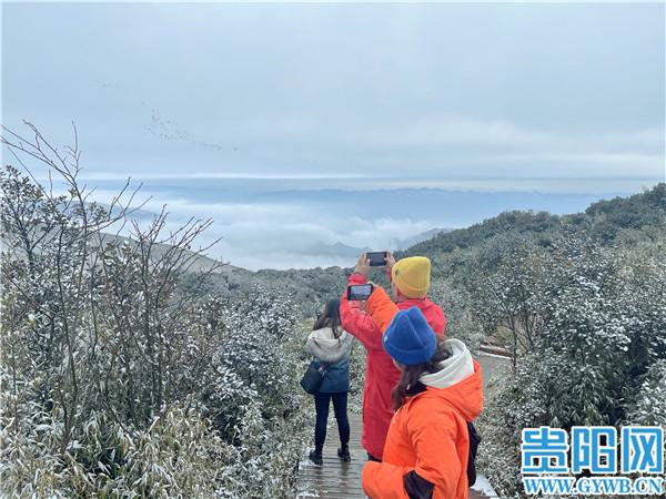 雪地探险者全新升级——斯柯达雪人7座SUV最新资讯速递